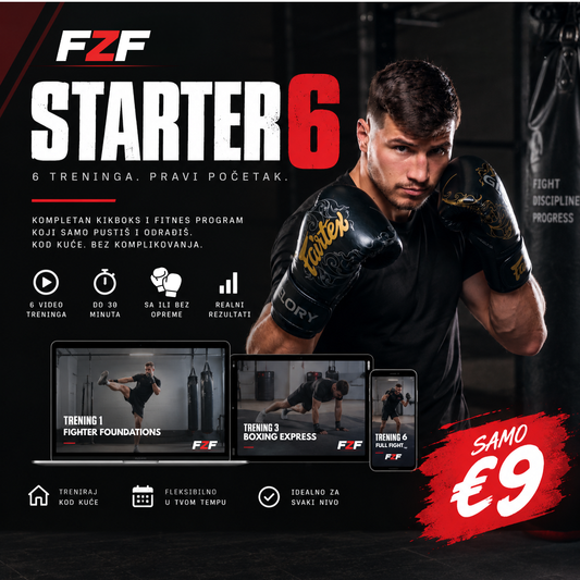 Starter 6